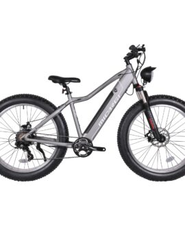 Micargi Steed 48V/11.6Ah 800W Fat Tire Electric Mountain Bike