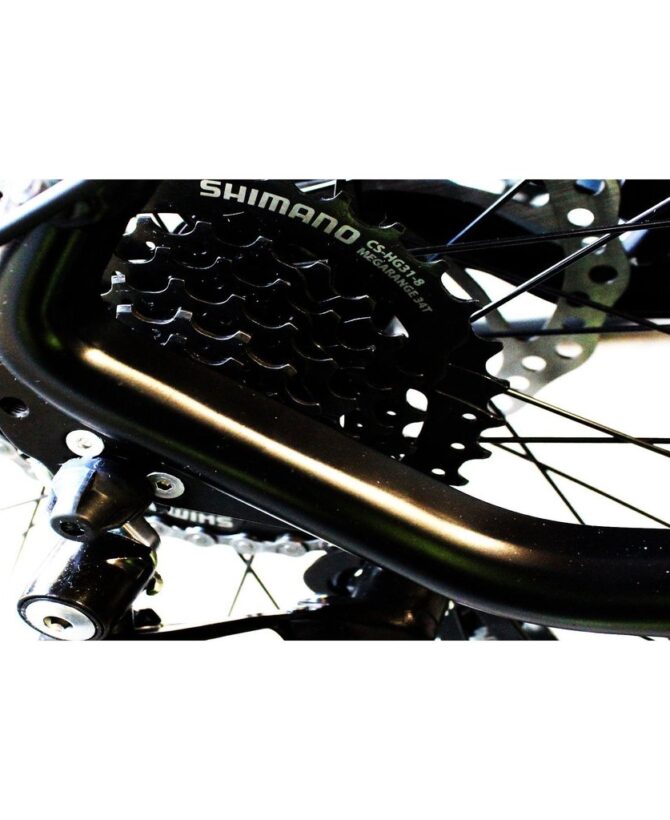Micargi Storm 36V/10.4Ah 350W Electric Mountain Bike