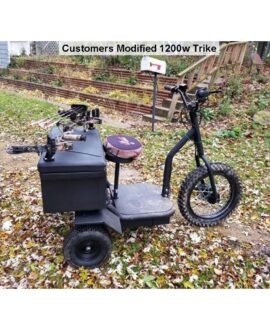 MotoTec 48V/12Ah 1200W  Electric Trike