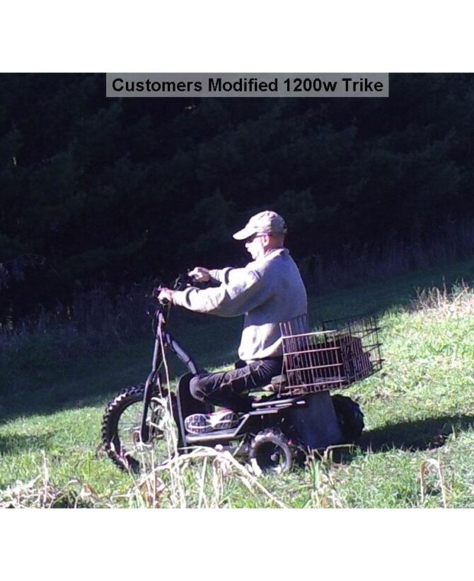 MotoTec 48V/12Ah 1200W  Electric Trike