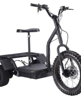 MotoTec 48V/12Ah 1200W  Electric Trike