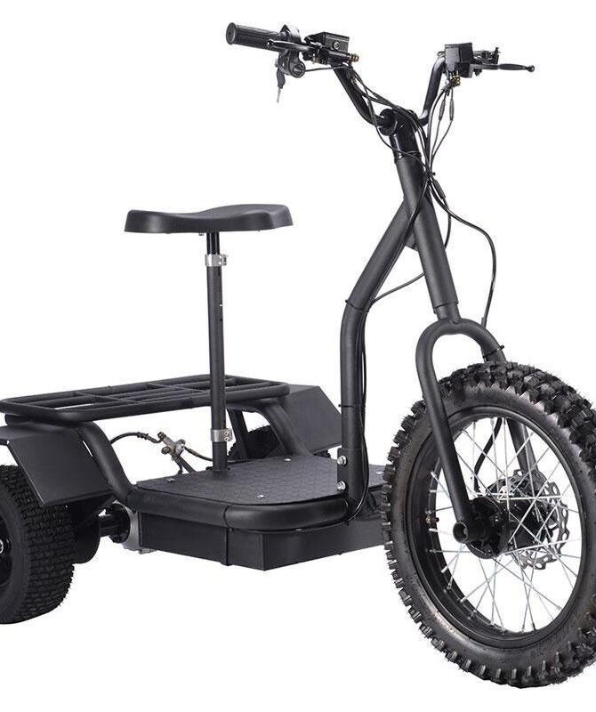 MotoTec 48V/12Ah 1200W  Electric Trike