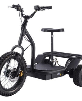 MotoTec 48V/12Ah 1200W  Electric Trike