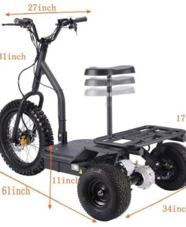 MotoTec 48V/12Ah 1200W  Electric Trike