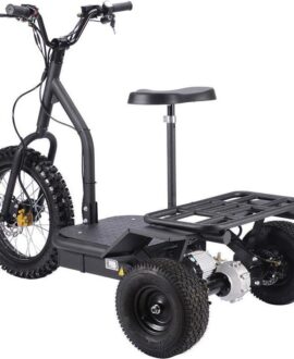 MotoTec 48V/12Ah 1200W  Electric Trike