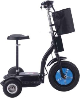 MotoTec Electric Trike 48v 750w Lithium