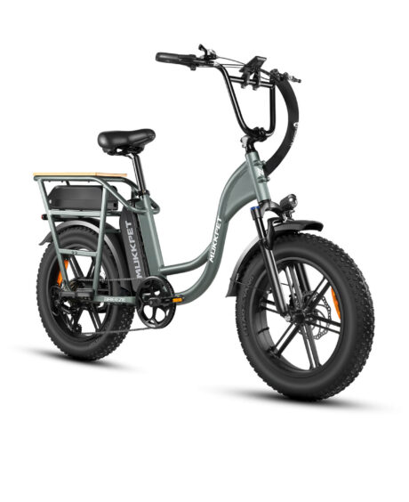 Mukkpet Breeze 48V/15Ah 750W  Step-Thru Electric Bike