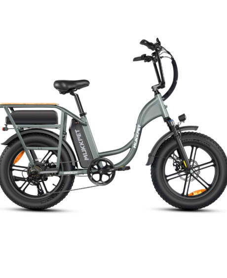 Mukkpet Breeze 48V/15Ah 750W  Step-Thru Electric Bike