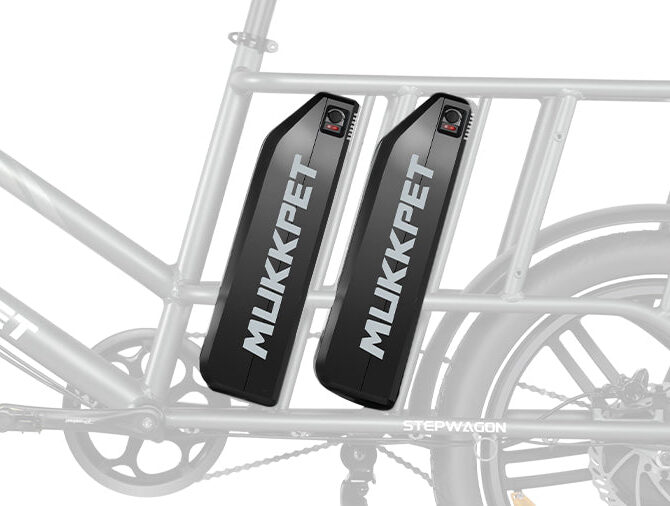 Mukkpet Stepwagon 48V/30Ah 750W Dual-Battery Cargo eBike