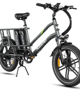 Mukkpet Stepwagon 48V/30Ah 750W Dual-Battery Cargo eBike