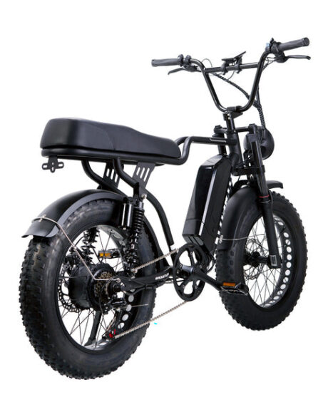 Nakto F2 750W 48V Electric Bike