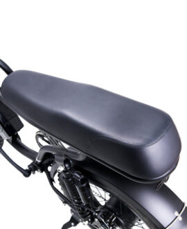 Nakto F2 750W 48V Electric Bike