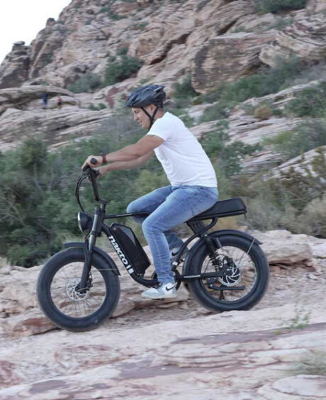 Nakto F2 750W 48V Electric Bike