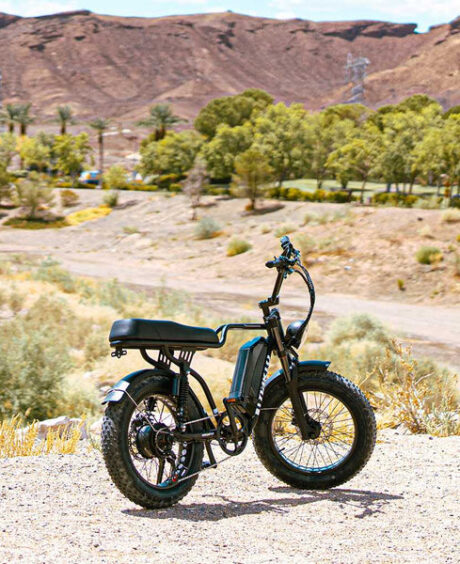 Nakto F2 750W 48V Electric Bike