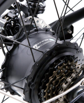 Nakto F2 750W 48V Electric Bike