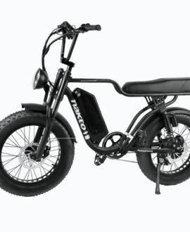 Nakto F2 750W 48V Electric Bike