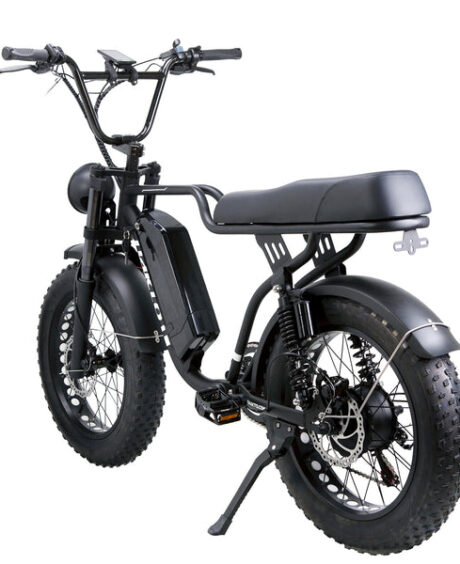 Nakto F2 750W 48V Electric Bike