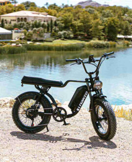 Nakto F2 750W 48V Electric Bike