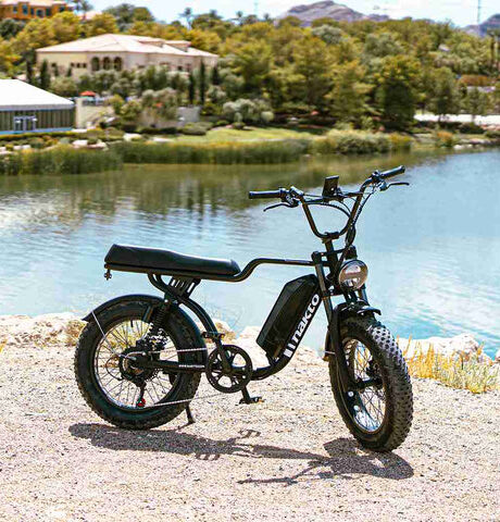 Nakto F2 750W 48V Electric Bike