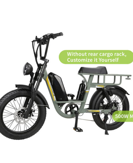 Nakto F4 750W 48V Electric Bike