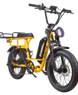 Nakto F4 750W 48V Electric Bike