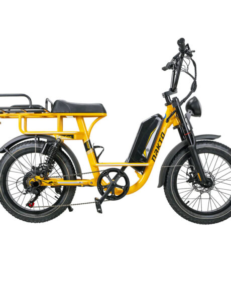 Nakto F4 750W 48V Electric Bike