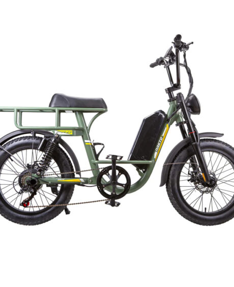 Nakto F4 750W 48V Electric Bike