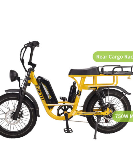 Nakto F4 750W 48V Electric Bike