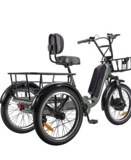 Nakto S02  750W Step-Thru Electric Trike