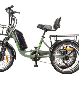 Nakto S02  750W Step-Thru Electric Trike