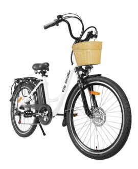 Nakto Stroller 36V/12Ah 350W Cruiser Electric Bike With Plastic Basket