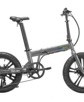 Qualisports BELUGA E-Bikes