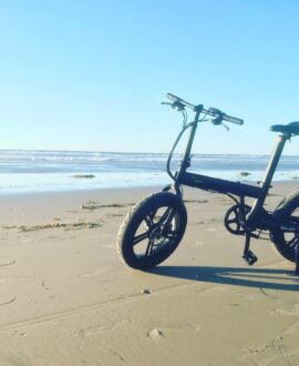 QualiSports Qualibike Beluga 48V/10.5Ah 500W Folding Electric Bike