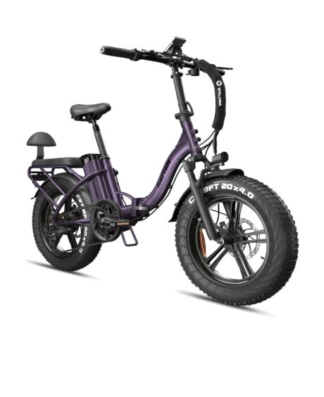 Rattan LF 750 Pro 48V/13Ah 750W Fat Tire Electric Bike