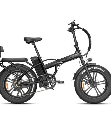 Rattan LM 750 Pro 48V/13Ah 750W Fat Tire Electric Bike