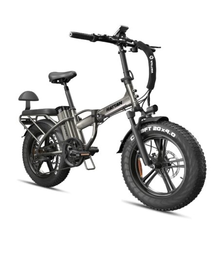 Rattan LM 750 Pro 48V/13Ah 750W Fat Tire Electric Bike