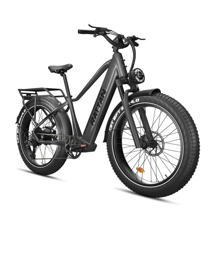 Rattan Pathfinder 48V/15Ah 750W Fat Tire Electric Mountain Bike