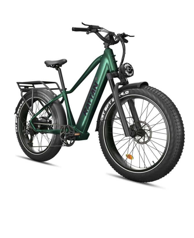 Rattan Pathfinder 48V/15Ah 750W Fat Tire Electric Mountain Bike