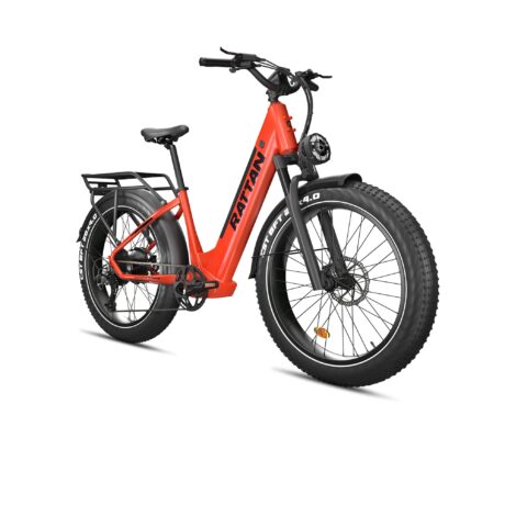 Rattan Pathfinder ST 750W 48V/13Ah Fat Tire Electric Bike