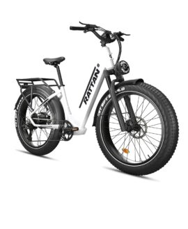 Rattan Pathfinder ST 750W 48V/13Ah Fat Tire Electric Bike