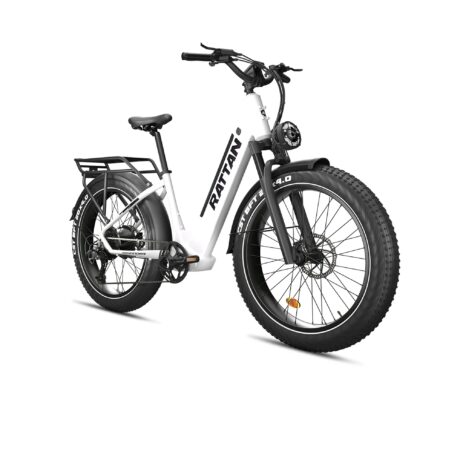 Rattan Pathfinder ST 750W 48V/13Ah Fat Tire Electric Bike