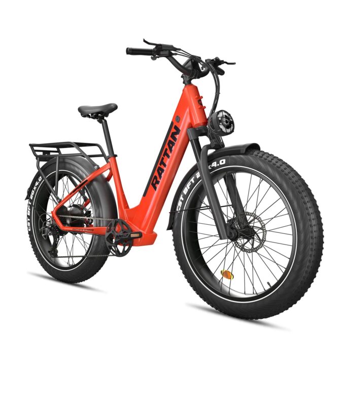 Rattan Pathfinder ST 750W 48V/13Ah Fat Tire Electric Bike