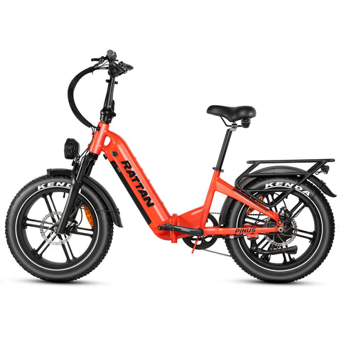 Rattan Pinus 48V/20AH 750W Low Step Foldable  Fat Tire Electric Bike