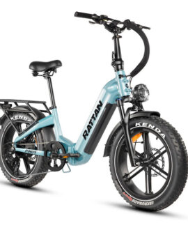 Rattan Pinus 48V/20AH 750W Low Step Foldable  Fat Tire Electric Bike