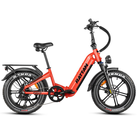 Rattan Pinus 48V/20AH 750W Low Step Foldable  Fat Tire Electric Bike