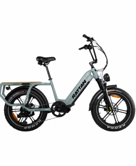 Rattan Quercus 48V/20AH 750W Fat Tire Electric Bike