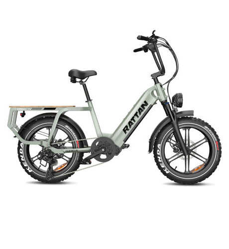 Rattan Quercus 48V/20AH 750W Fat Tire Electric Bike