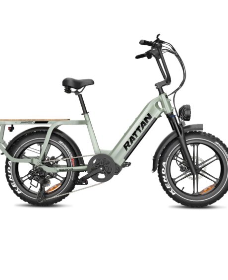 Rattan Quercus 48V/20AH 750W Fat Tire Electric Bike