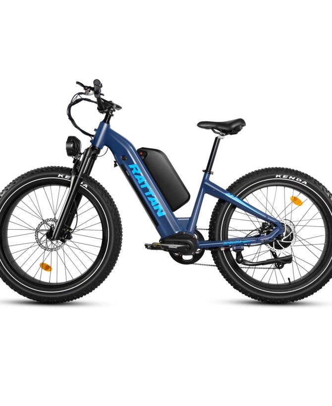 Rattan Sequoia 48V /20AH 750W Fat Tire Electric Bike