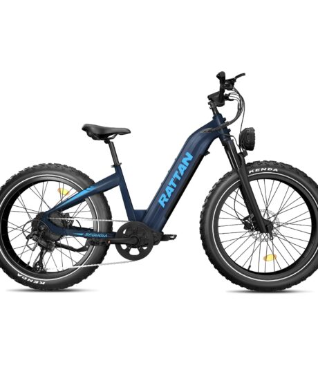 Rattan Sequoia 48V /20AH 750W Fat Tire Electric Bike